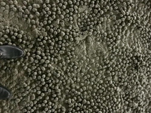 江西達(dá)人建材陶?;炷? width= 江西達(dá)人建材陶粒混凝土