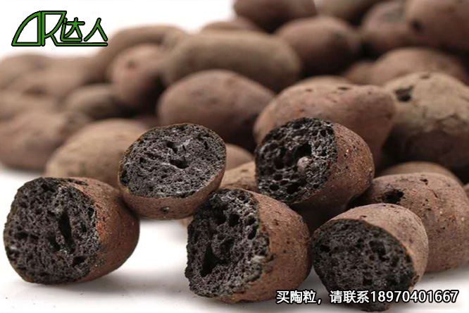 撫州陶粒_撫州陶粒批發(fā)_衛(wèi)生間回填陶粒 撫州陶粒_撫州陶粒批發(fā)_衛(wèi)生間回填陶粒